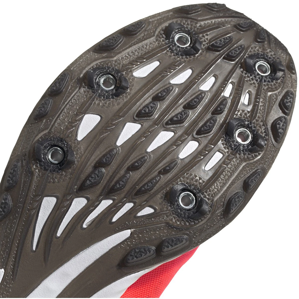 ADIDAS Women's Adizero XC Sprint Spike - Signal Pink/Core Black/TWR White- Regular (B) - Image 5